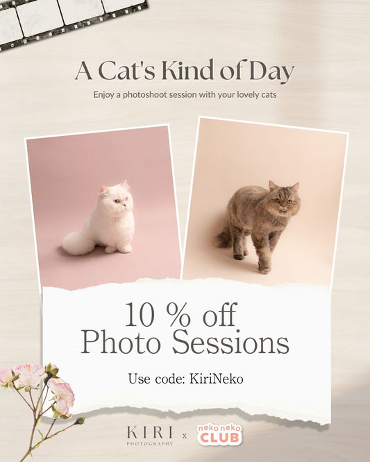 Kiri Photography x Neko Neko