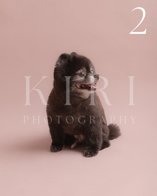 Juke's Kiri Pawtrait