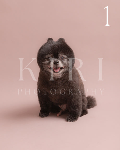 Juke's Kiri Pawtrait