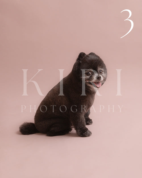 Juke's Kiri Pawtrait