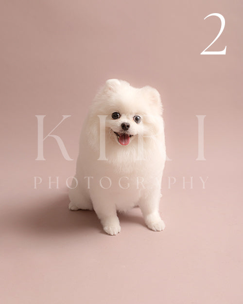 Cotton's Kiri Pawtrait