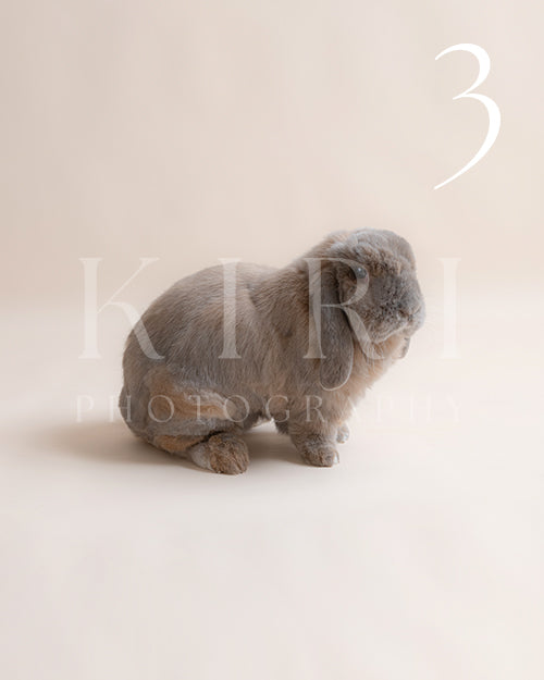 Pablo's Kiri Pawtrait