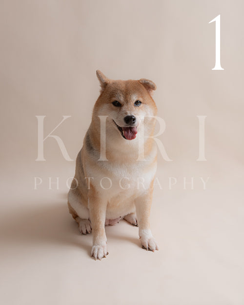 Nana's Kiri Pawtrait