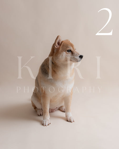 Nana's Kiri Pawtrait