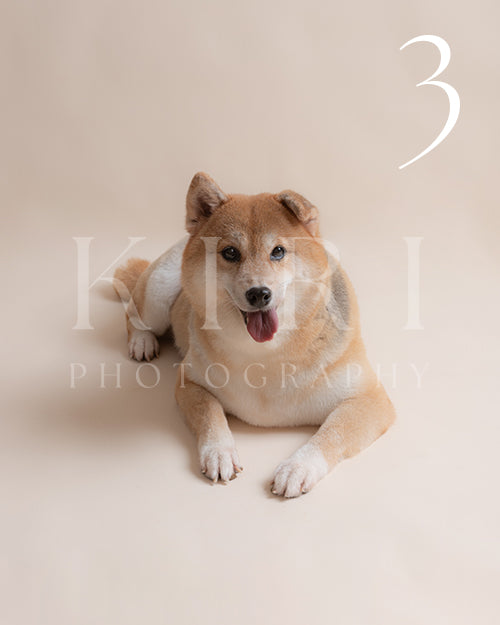 Nana's Kiri Pawtrait