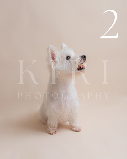 Kira's Kiri Pawtrait