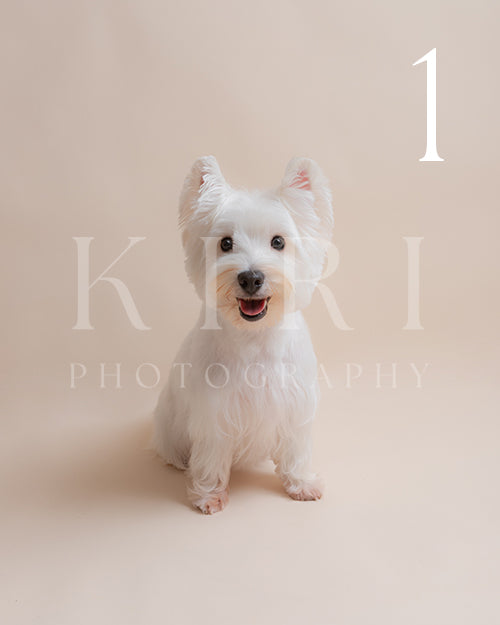 Kira's Kiri Pawtrait