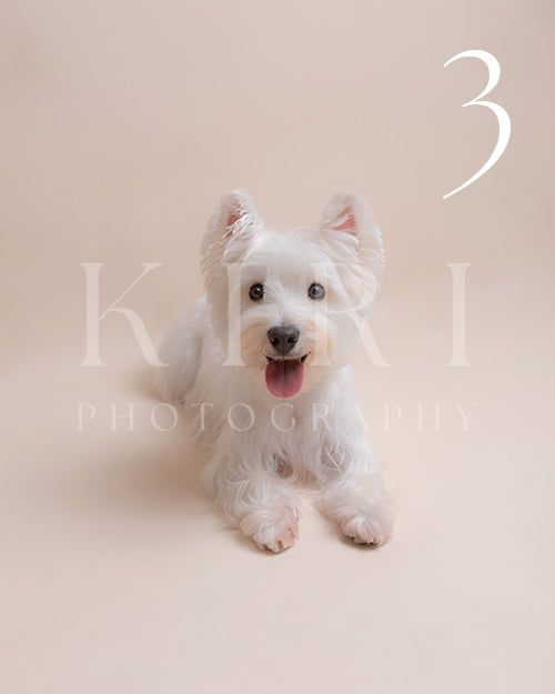 Kira's Kiri Pawtrait