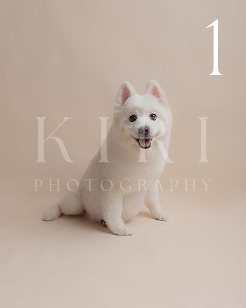 Juju's Kiri Pawtrait