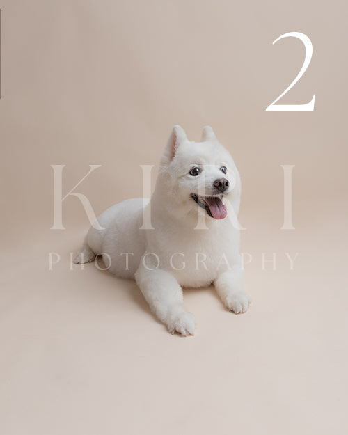 Juju's Kiri Pawtrait