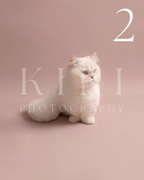 Milky's Kiri Pawtrait