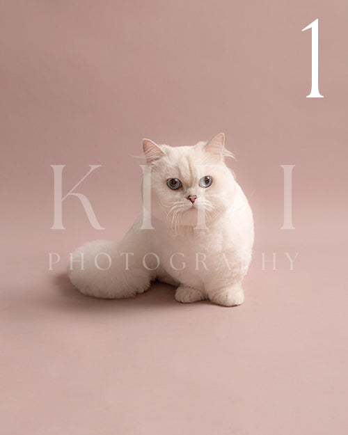 Milky's Kiri Pawtrait
