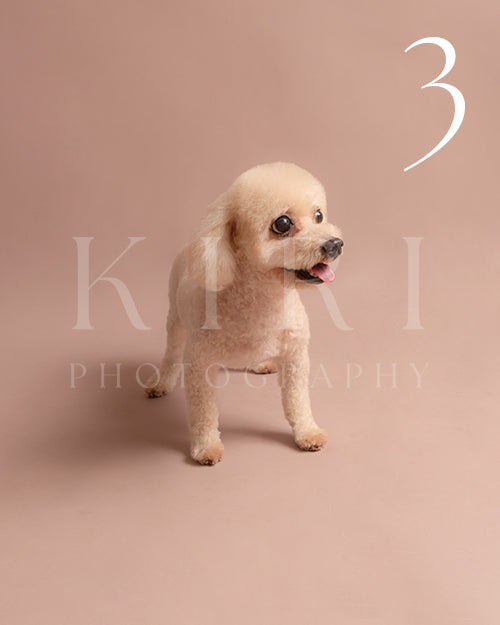 Auri's Kiri Pawtrait