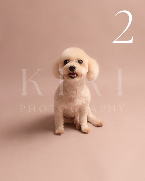 Auri's Kiri Pawtrait