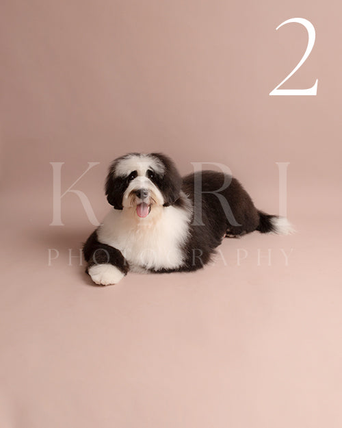 Sadie's Kiri Pawtrait
