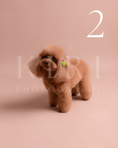 BaYi's Kiri Pawtrait