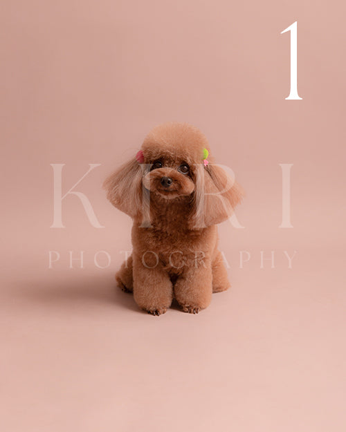 BaYi's Kiri Pawtrait