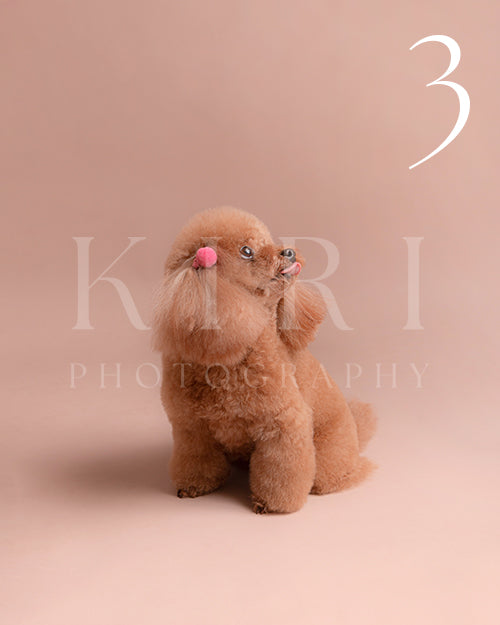 BaYi's Kiri Pawtrait