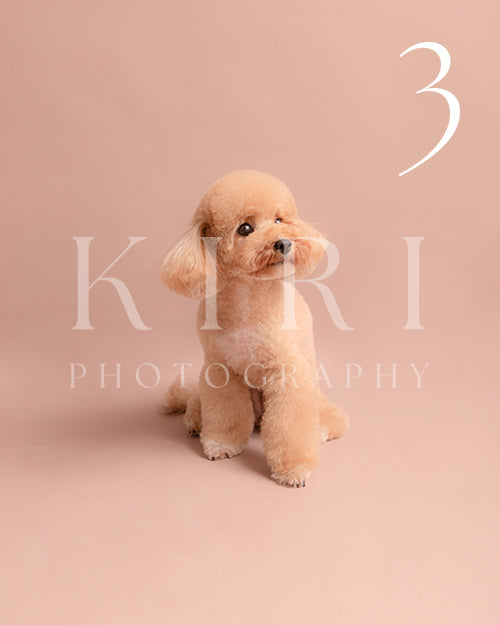 Coco's Kiri Pawtrait
