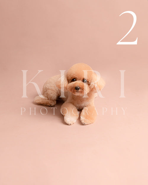 Coco's Kiri Pawtrait