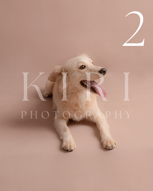 Latte's Kiri Pawtrait