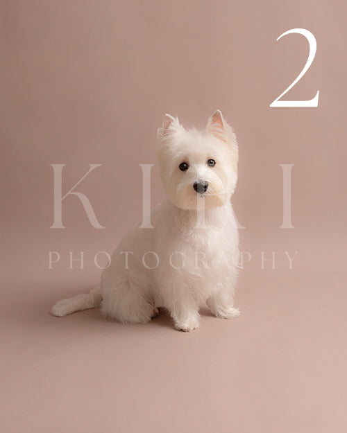 Hugo's Kiri Pawtrait