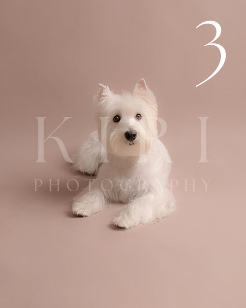 Hugo's Kiri Pawtrait