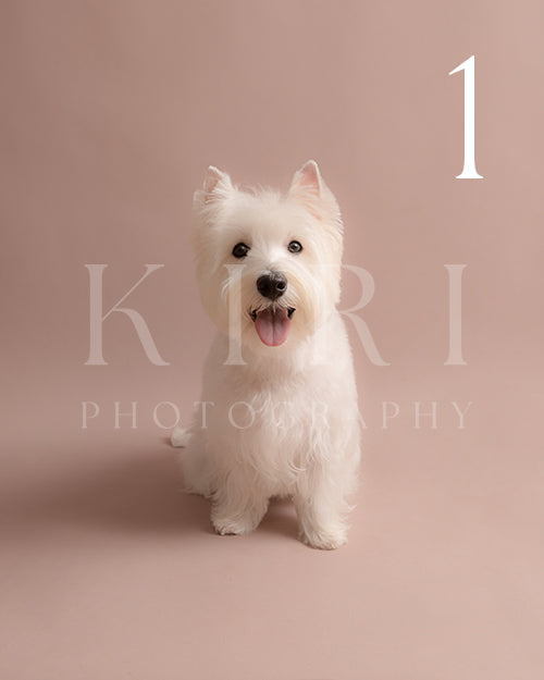 Hugo's Kiri Pawtrait