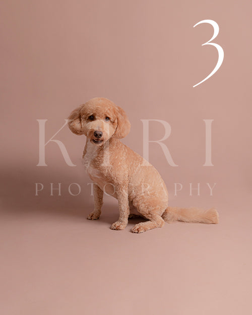 Simba's Kiri Pawtrait