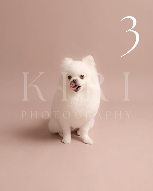 Bagel's Kiri Pawtrait