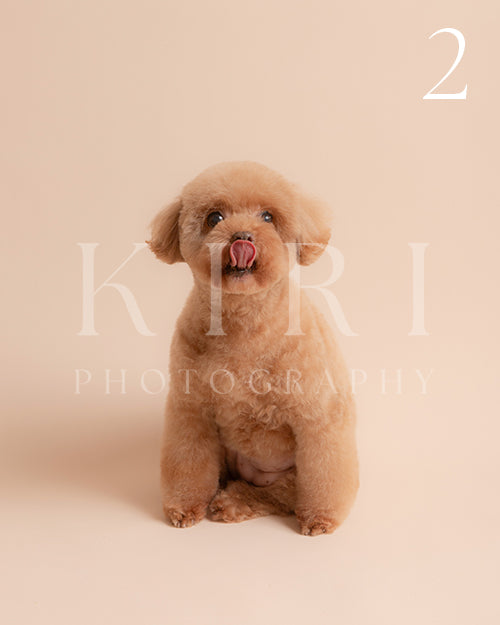 Kesha's Kiri Pawtrait