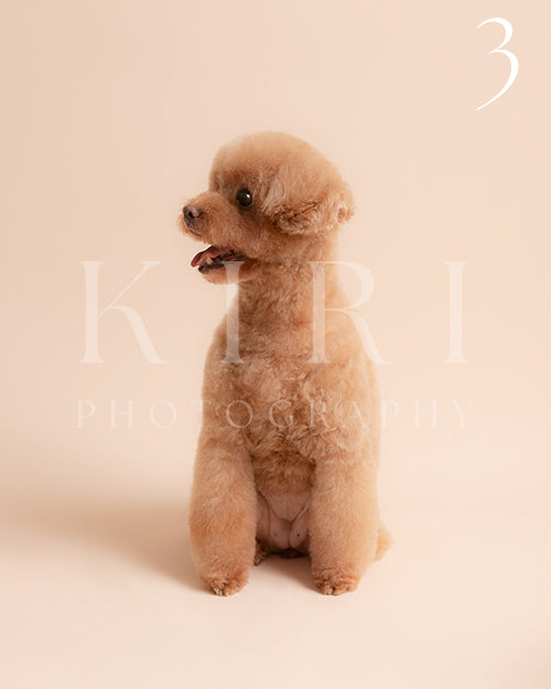 Kesha's Kiri Pawtrait