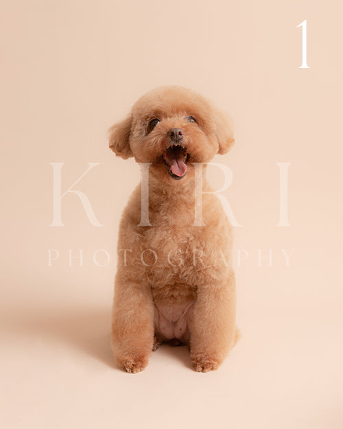 Kesha's Kiri Pawtrait