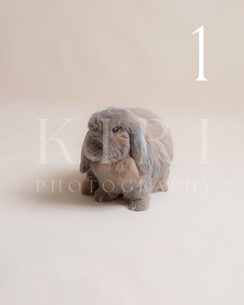 Pablo's Kiri Pawtrait