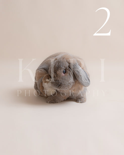 Pablo's Kiri Pawtrait