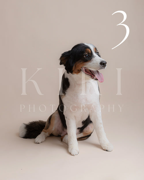 Holly's Kiri Pawtrait