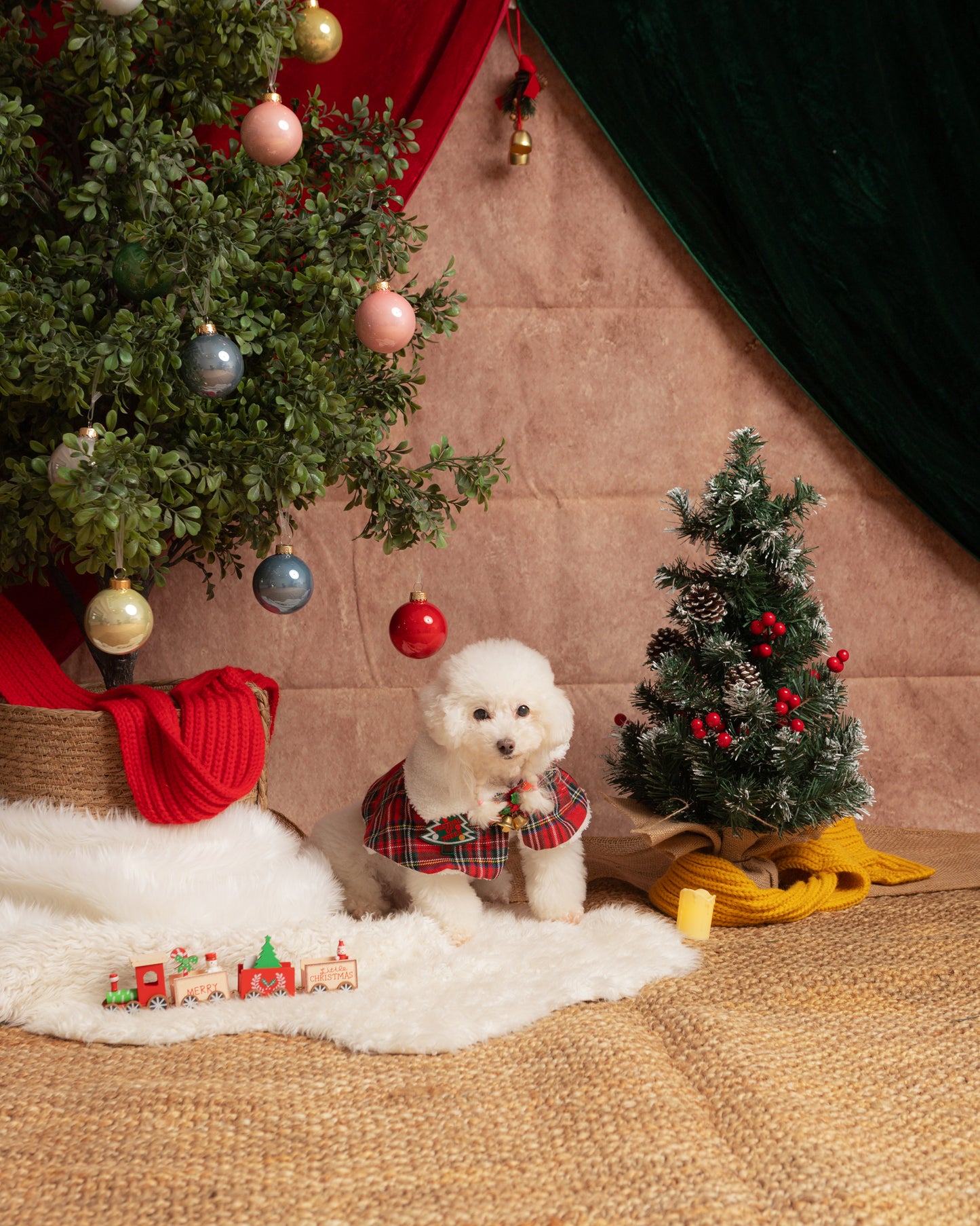 KIRI Christmas Fur and Friend Edition(December Only)