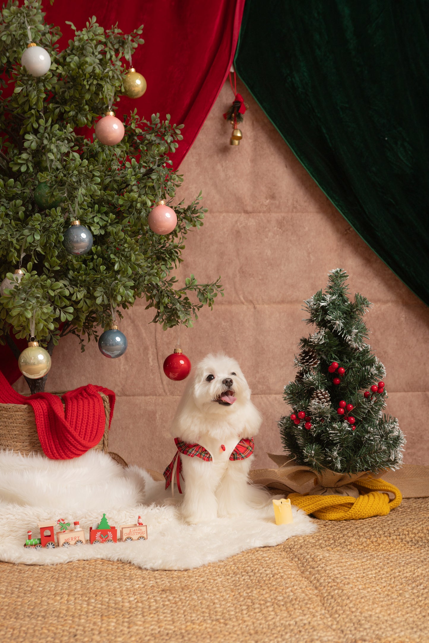 KIRI Christmas Fur and Friend Edition(December Only)