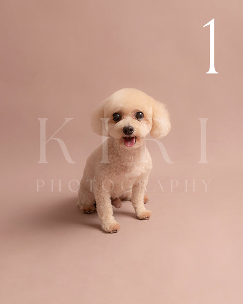 Auri's Kiri Pawtrait