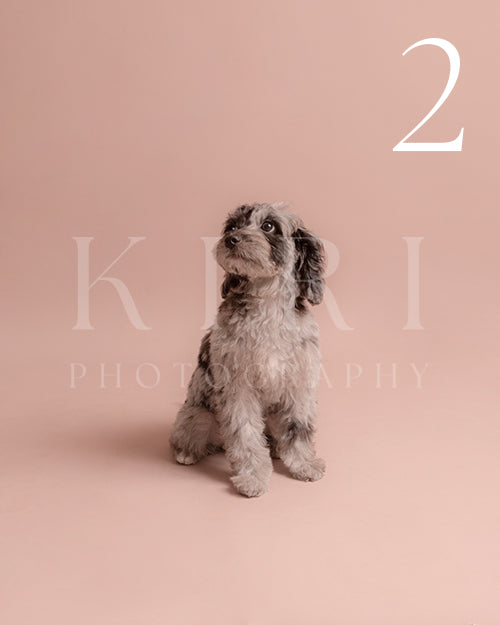 Patches's Kiri Pawtrait