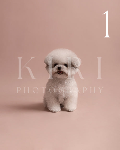 Dustie's Kiri Pawtrait