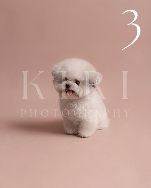 Dustie's Kiri Pawtrait