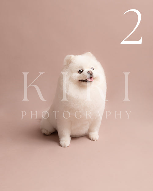 Eskimo's Kiri Pawtrait