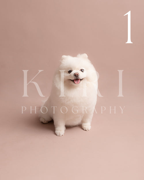 Eskimo's Kiri Pawtrait