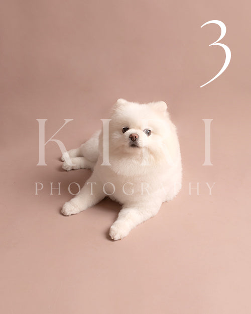 Eskimo's Kiri Pawtrait