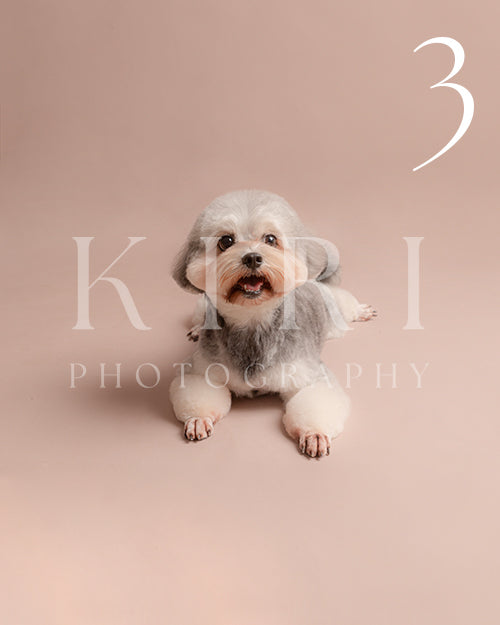 Koko's Kiri Pawtrait