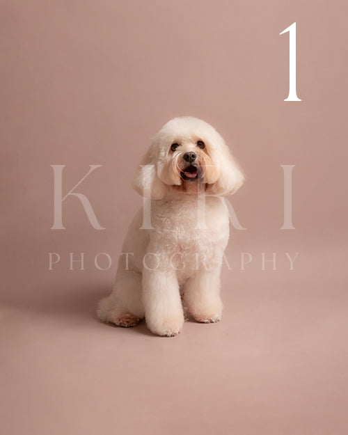 Winston's Kiri Pawtrait